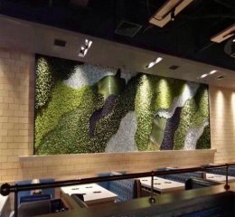 绿色植物在展厅布置中有哪些作用